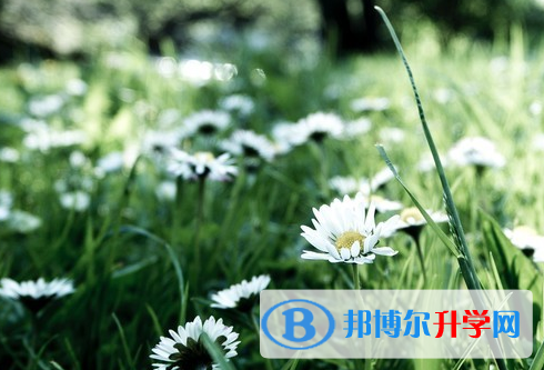 邯鄲2021年中考統考成績