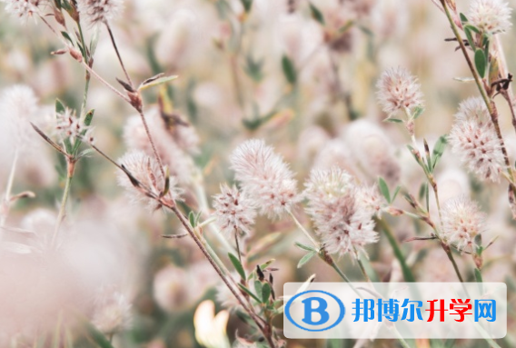 邯鄲2021年中考網錄取系統