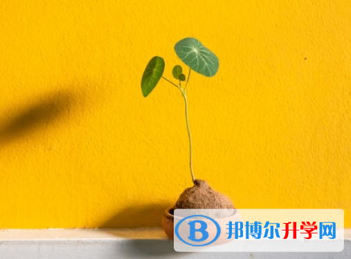 邯鄲2021年中考網(wǎng)絡(luò)服務(wù)平臺(tái)