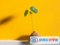 邯鄲2021年中考網(wǎng)絡服務平臺