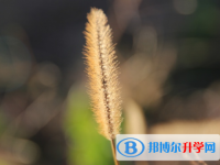 邯鄲2021年中考網(wǎng)絡平臺