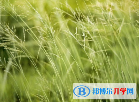 邯鄲2021年中考網上報名