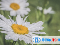 邯鄲2021年中考網上報名模擬
