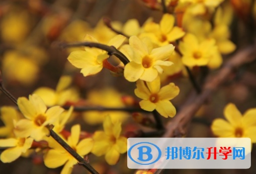 邯鄲2021年中考線預測
