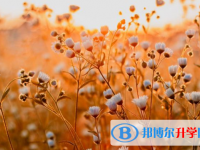 邯鄲2021年中考怎樣調劑
