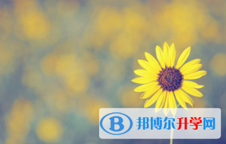 邯鄲2021年中考招生網絡應用服務平臺