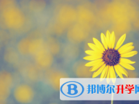 邯鄲2021年中考招生網絡應用服務平臺