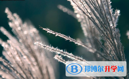 邯鄲2021年中考志愿怎么填報