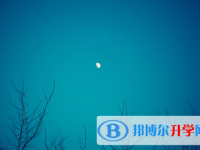 邯鄲2021年中考咨詢(xún)熱線電話(huà)號(hào)碼