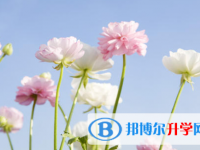 邯鄲2021年中考自主招生報(bào)名