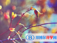 邯鄲2021年中考自主招生報(bào)名有哪些學(xué)校