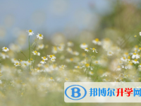邯鄲2021年中考自主招生成績(jī)