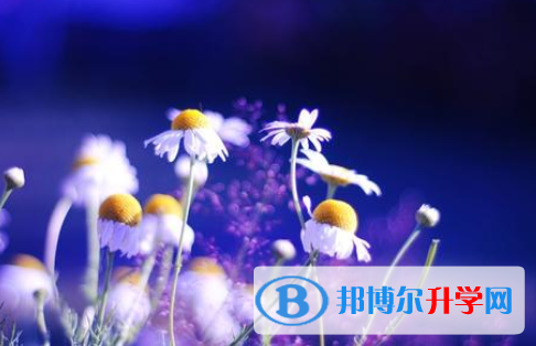 邯鄲2021年中考自主招生考試學校