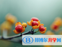 邯鄲2021年中考自主招生時(shí)間