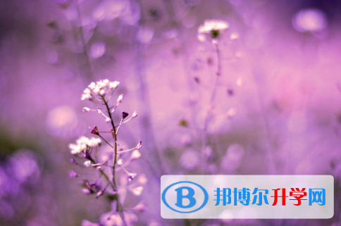 邯鄲2021年今年中考統招線包括哪些區域