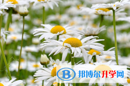 保定2021年中考報(bào)考學(xué)校名單