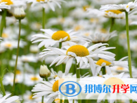 保定2021年中考報考學校名單