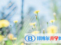 保定2021年中考報名學校