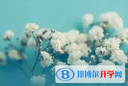保定2021年中考的規則