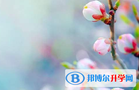 保定2021年中考的統招和調劑說明
