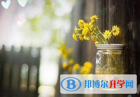 保定2021年中考各科高頻考點