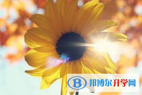 保定2021年中考孩子的營養餐
