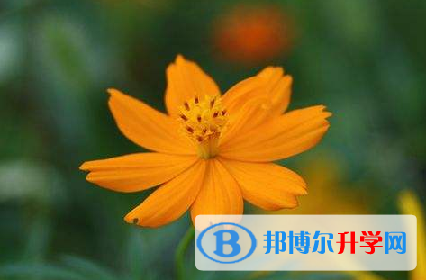 保定2021年中考技巧和注意事項