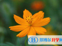 保定2021年中考技巧和注意事項