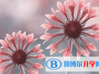 保定2021年中考考試時間