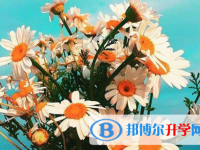 保定2021年中考考試說明