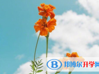 保定2021年中考升學率