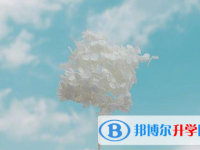 保定2021年中考時間