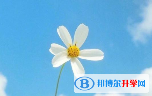 保定2021年中考具體時間