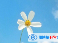 保定2021年中考具體時間