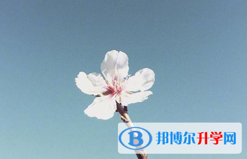保定2021年中考體考標準