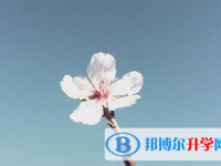保定2021年中考體考標準