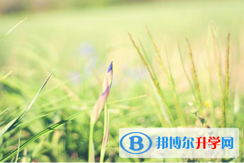 保定2021年中考準(zhǔn)考證