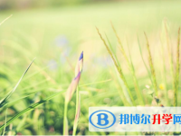 保定2021年中考準考證