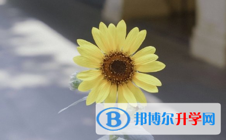 保定2021年中考后可以上什么學校