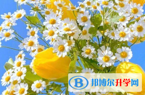 保定2021年中考200多的哪些學校要