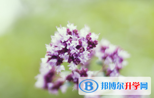 保定2021年沒有學(xué)籍可以參加中考嗎