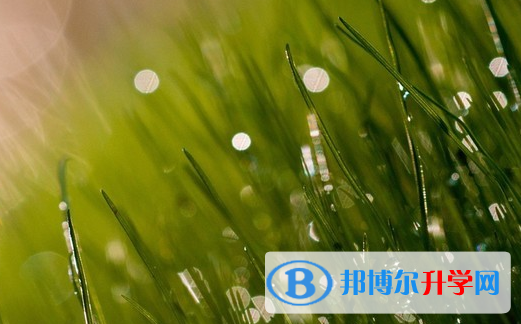 保定2021年孩子因病錯過中考怎么辦