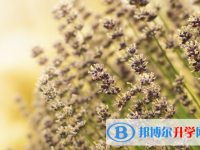 保定2021年中考報名網(wǎng)站登錄