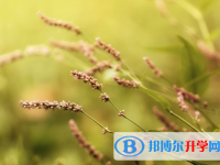 保定2021年中考報名網(wǎng)站是什么
