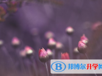 保定2021年中考報名網(wǎng)址