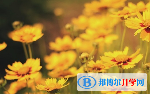 保定2021年中考報名系統網址