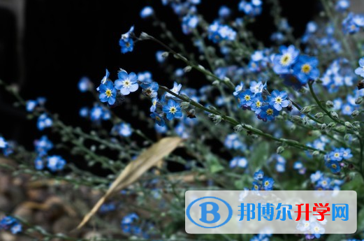 保定2021年中考網(wǎng)上志愿如何打印