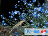 保定2021年中考網上志愿如何打印