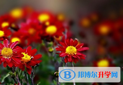 保定2021年中考模擬填報(bào)志愿