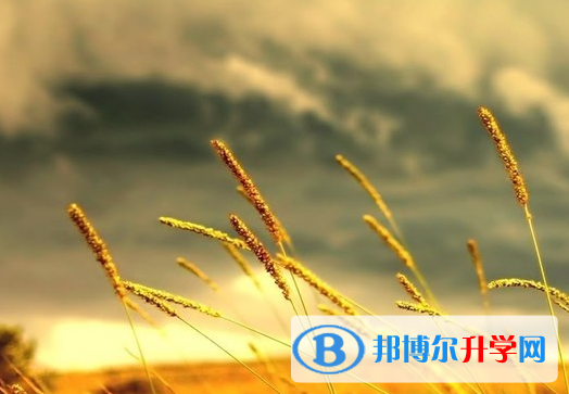 保定2021年中考填報(bào)志愿后還可以改嗎
